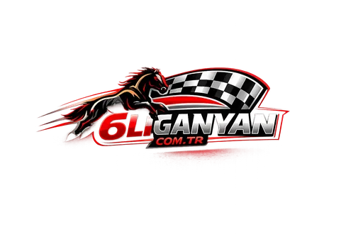 6liganyan.com.tr